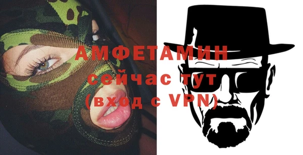 ECSTASY Алзамай