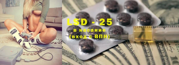 ECSTASY Алзамай