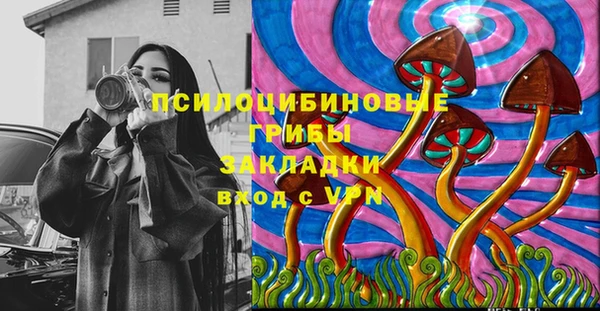 ECSTASY Алзамай