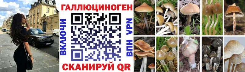 Купить закладки  Череповец  Псилоцибиновые грибы Cubensis 